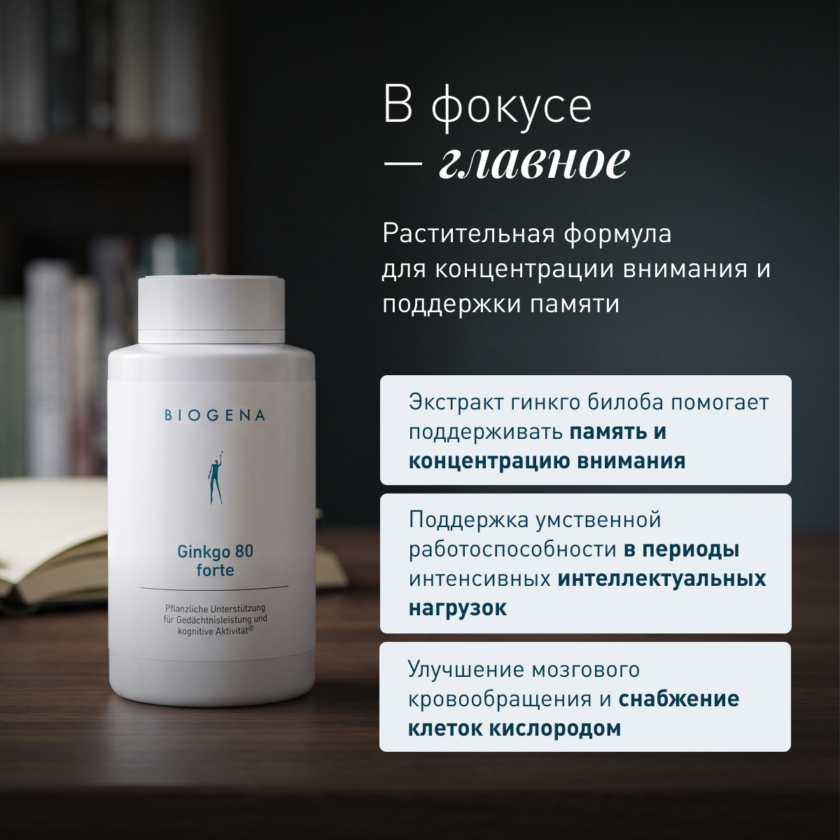 Гинкго билоба форте фото