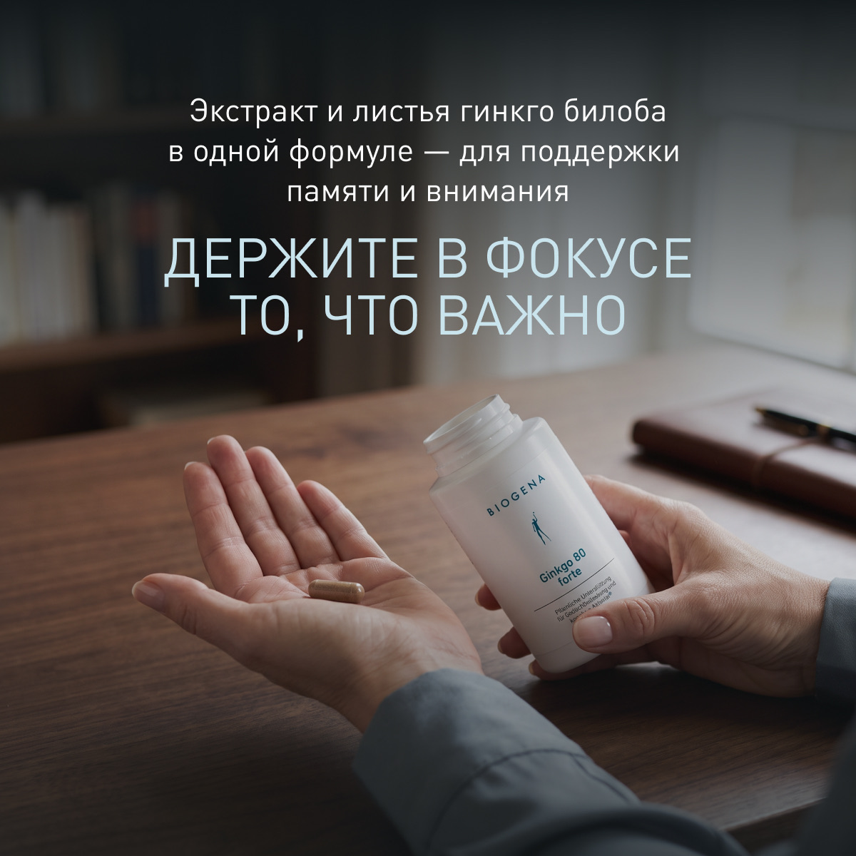 Гинкго билоба форте фото
