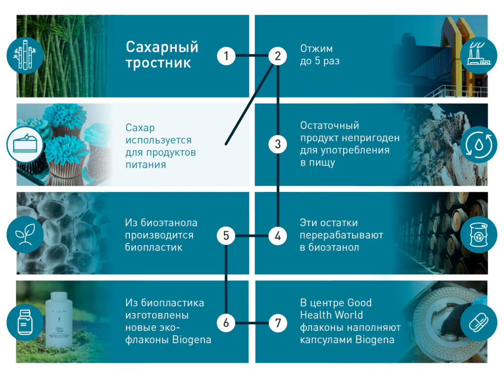 5 шагов для стимулирования производства коллагена и эластина 5 шагов для стимулирования производства коллагена и эластина