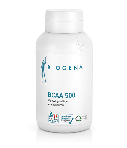 Аминокислоты BCAA 500 фото